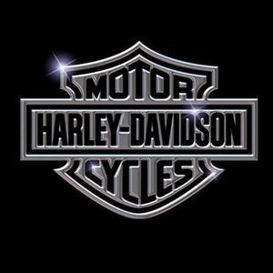 Meet your Posher, Wayne